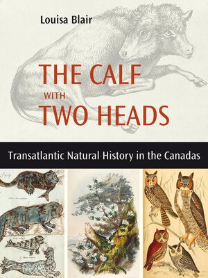 cover image of The Calf with Two Heads